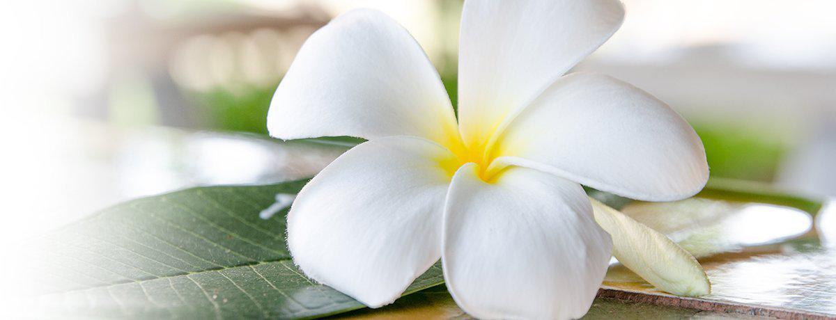 BEST COSMETIC PROCEDURES FOR SKIN REJUVENATING - My Website : powered by Doodlekit