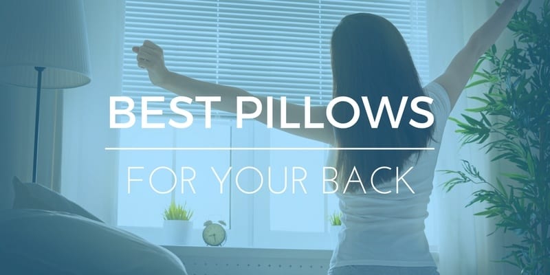 Best Wedge Pillow For Upper and Lower Back Pain | Elite Rest